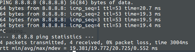 diagnostic ping test