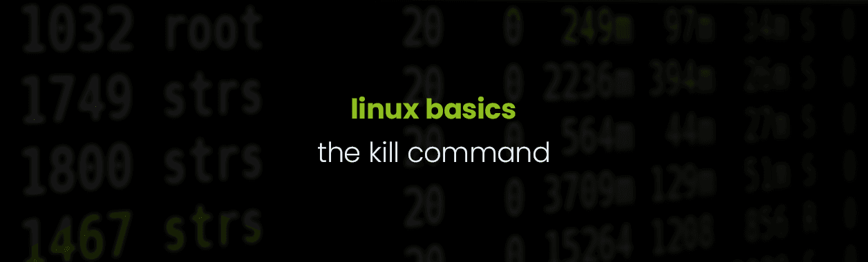 Linux Basics – the ‘kill’ command and process signals