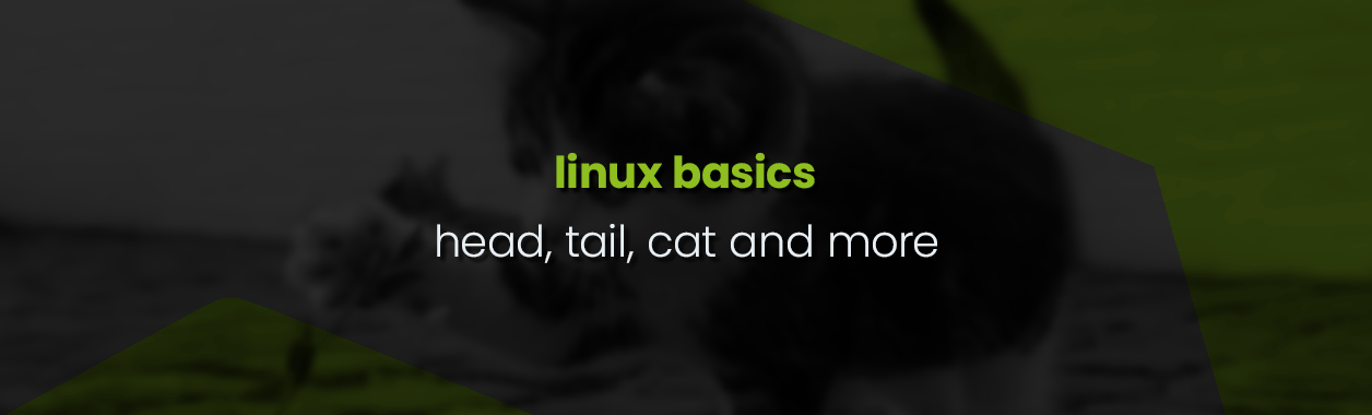 Linux Basics – head, tail, cat and more (or less)