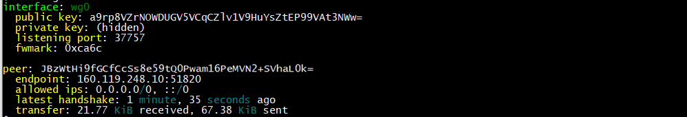 Debian WireGuard client interface status