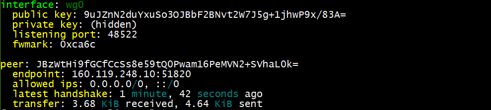 wireguard client machine interface status