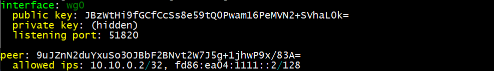 output for wg command on WireGuard VPN server