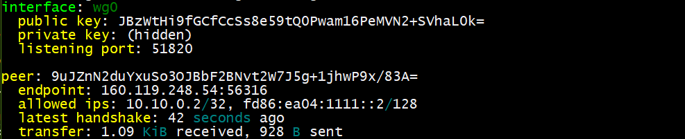 WireGuard server interface status
