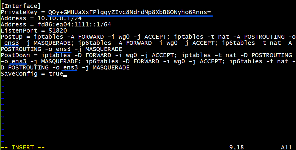 WireGuard wg0 config file text in Vim editor