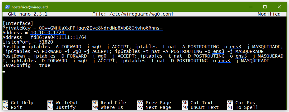 Debian 9 WireGuard server config file nano