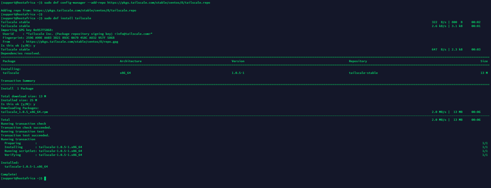 tailscale installation output