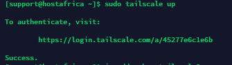 tailscale auth successful