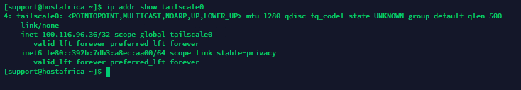 ip address command output