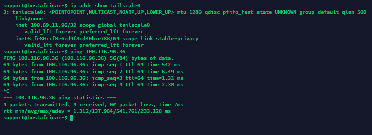 tailscale ping command output