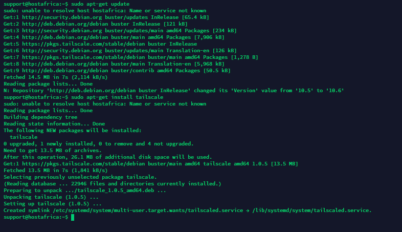 tailscale successful install