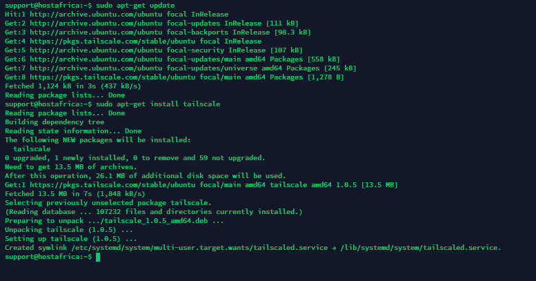 tailscale successfull install