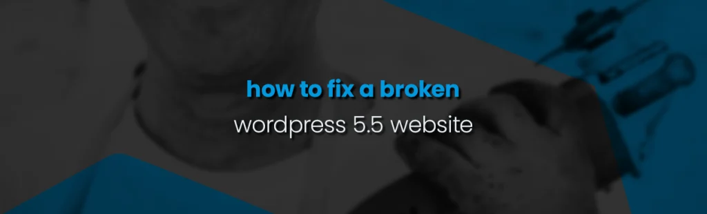 How to Fix a Broken WordPress 5.5 Site