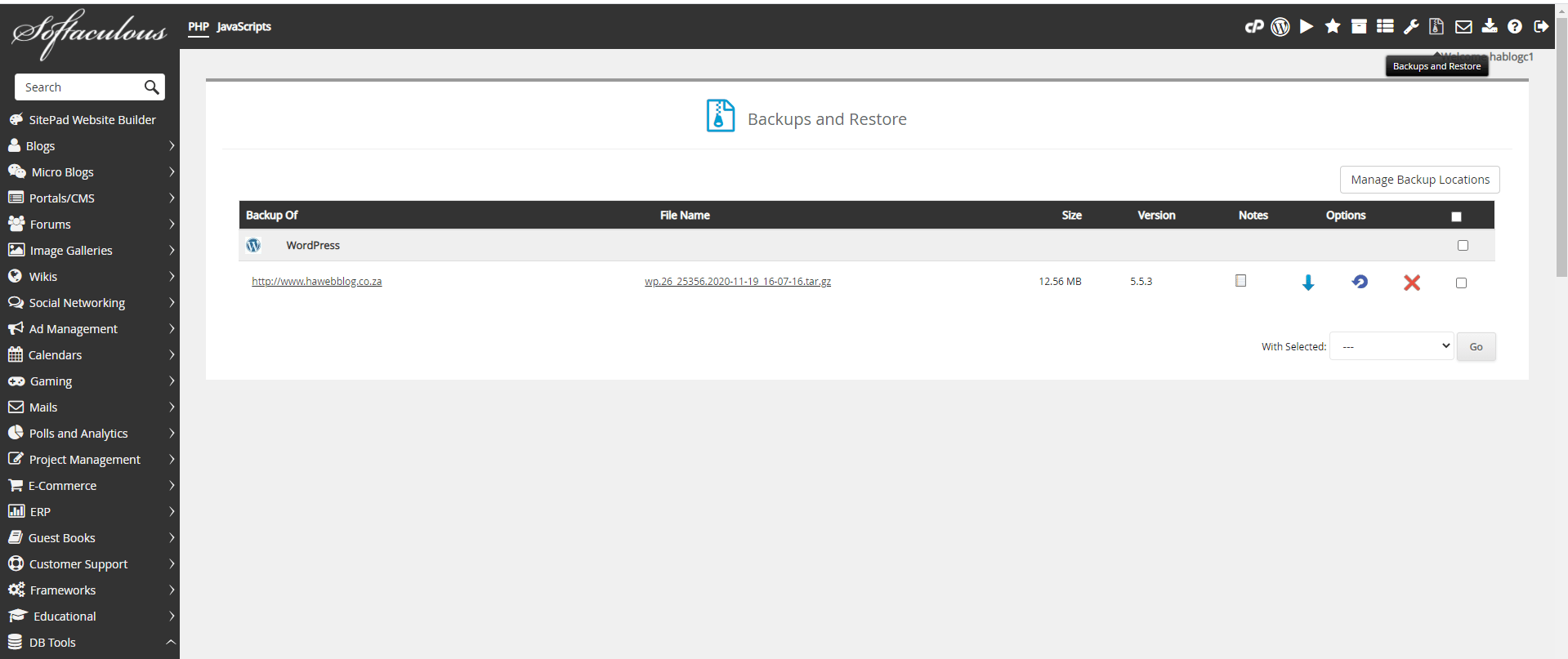 You can click on the Backup and Restore icon present on the top right.