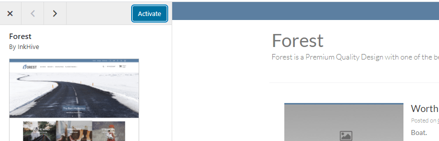 After the installation finishes in a few moments, the Activate button should appear on the left.