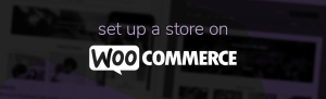 How To Set Up a WooCommerce Store on WordPress