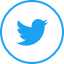 twitter bordered logo