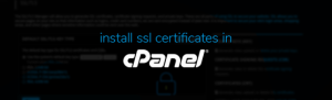 How to Install SSL Certificates in cPanel for a Secure Website