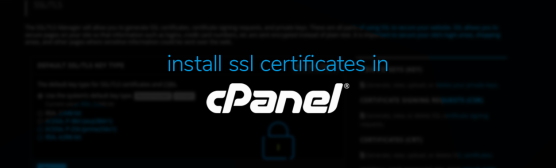 How to Install SSL Certificates in cPanel for a Secure Website