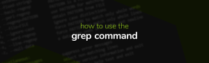 How To Use The Grep Command in Linux