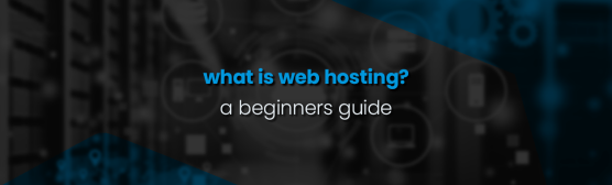 What is web hosting? A beginner’s guide