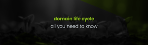 The Domain Life Cycle Explained