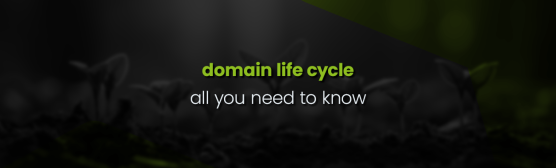 The Domain Life Cycle Explained