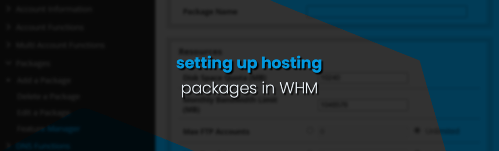 How to Set Up Hosting Packages in WHM: A Complete Guide for Resellers