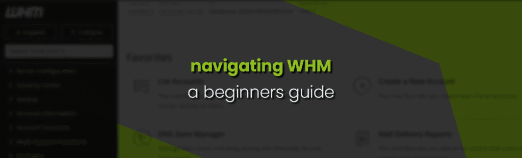Mastering WHM: A Beginner-Friendly Guide for Web Hosting Resellers