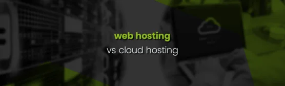 Deciding Between Web Hosting vs Cloud Hosting in 2024