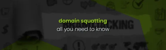 All You Need to Know About Domain Squatting