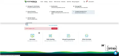 Select “Domains” from the navigation bar and click “Transfer Domains to Us”.